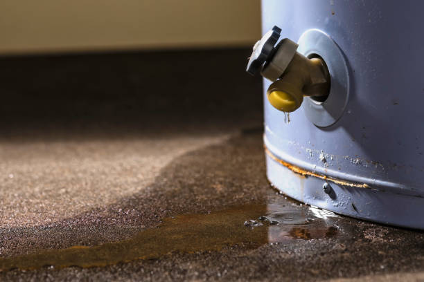 Best Ceiling water damage repair  in Port Wentworth, GA