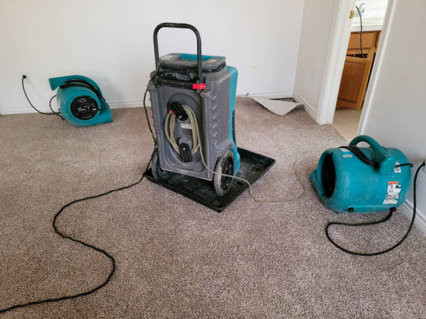Best Sewage cleanup and water damage restoration  in Port Wentworth, GA