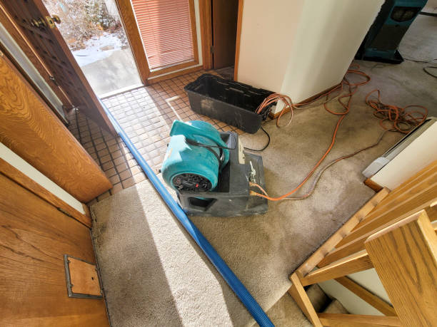 Best Carpet water damage restoration  in Port Wentworth, GA