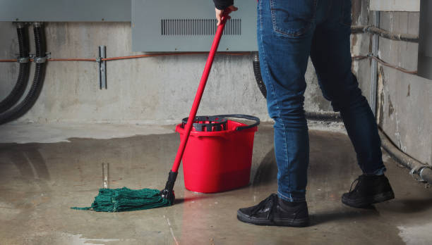 Best Residential water damage restoration  in Port Wentworth, GA