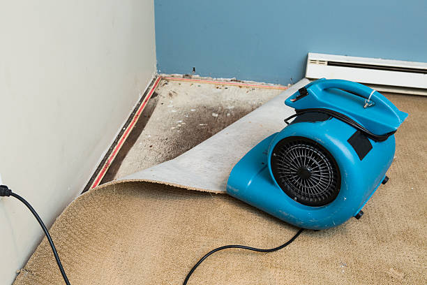 Water damage restoration experts in Port Wentworth, GA