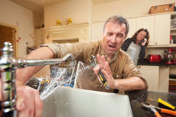 Best Basement water damage restoration  in Port Wentworth, GA